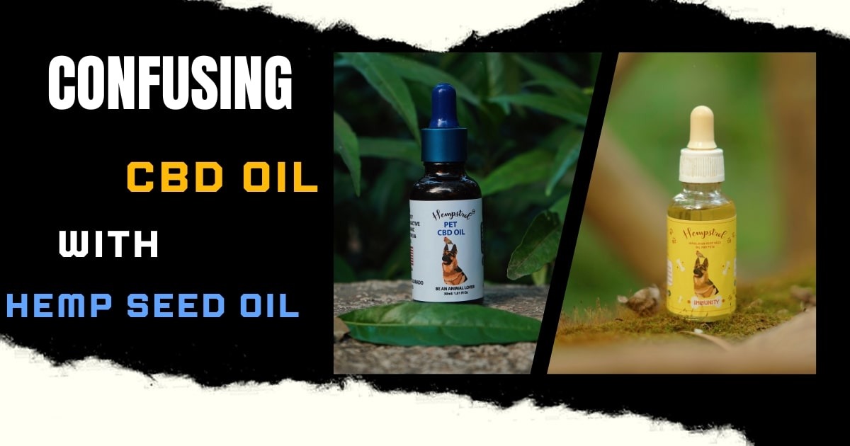 cbd oil for pets